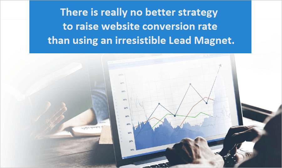 About using a Lead Magnet to boost  website conversion rate.
